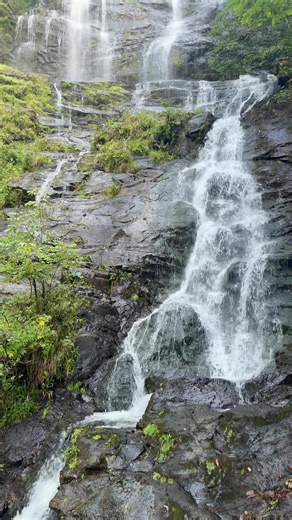 #georgia #falls #mountain #hiking #appalachianmountains | Appalachian Mountains