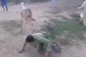 27K views · 191 reactions | Aya tasu da dey Quom na umeed satai che da bha imran khan pa 5 kala key teek key kasam pa Allah Che 20 kala pre hum.kam dey | Musa Khan | Facebook