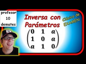 🌟 Inversa de una matriz con parámetros ✔ Ejercicios resueltos