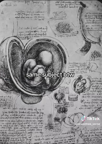 Understanding Science: Common Misconceptions and Myths