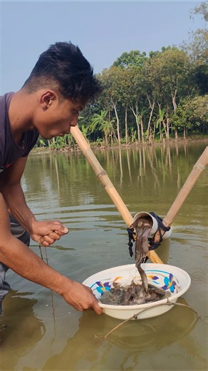 Native Catfishing Technique #fishing #catfishfish #pipefishing