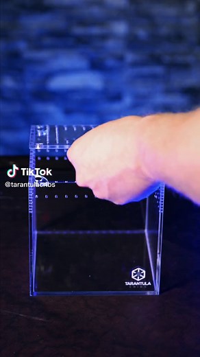 Modular Enclosures for Tarantulas and Spiders