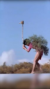Man vs Ostrich.#fyp #fypage #fypreels #ostrich #africa #africanimals #movietime #movienetflix #movieclips #shortvideofbreels #treandingreels #viralpost2025 #topmoviesnetflix #hollywood #fypreels | Ajoy Vargas