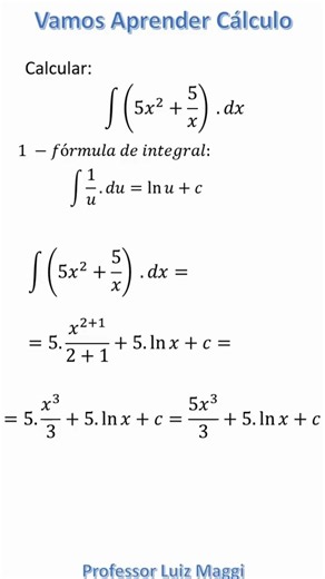 #professorluizmaggi