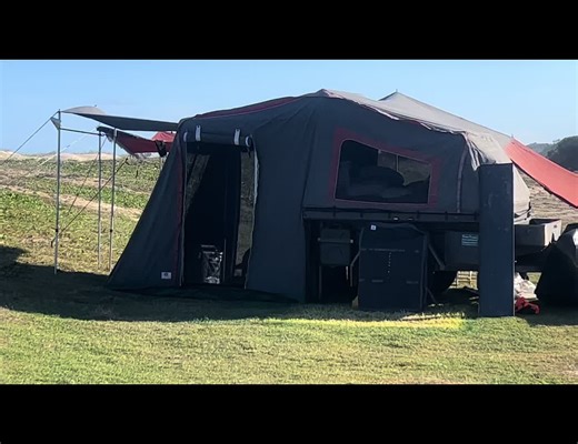 Can i pet that dawg?!! Dingo in our tent at K’gari - Fraser Island #dingo #kgari #fraserisland #canipetthatdog #camping