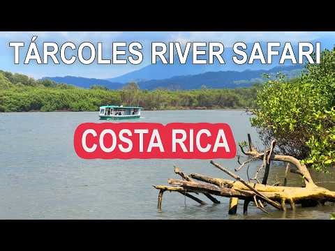 Crocodiles and Wildlife in Costa Rica | Tárcoles River Safari