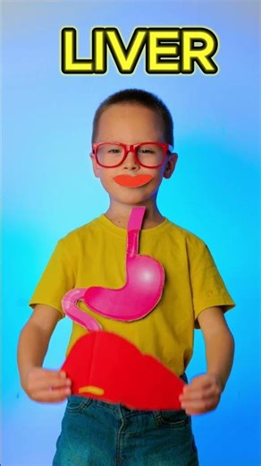 🍽️ From Mouth to Tummy: How Digestion Works! 🧸 #kids #learn