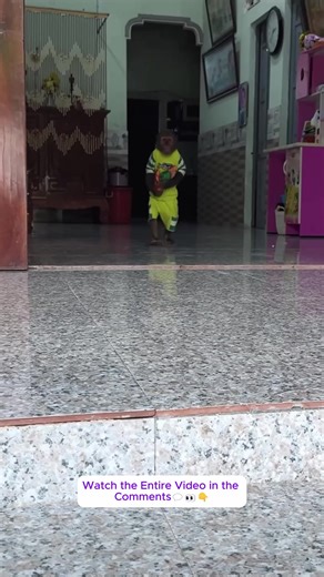 11K views · 405 reactions | Very funny! Baby monkey exhibits cooking talent to care for CUTIS.....#monkeyLala #Monkeykaka #Cubismonkey #expore #trending #monkeyBibi #monkeyCUTIS | Cubis TV | Facebook