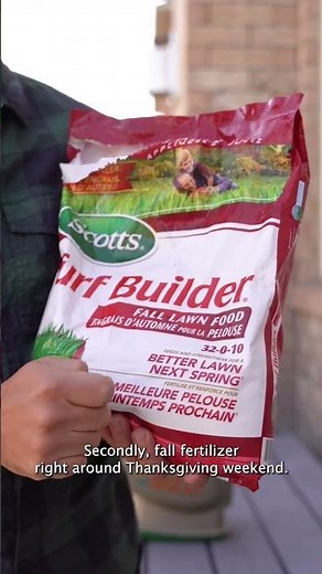 5 Fall Lawn Care Tips To Do Right Now