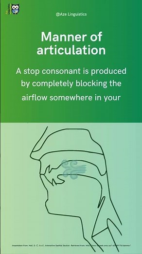 Stops, Fricatives, and Affricates: STOPS