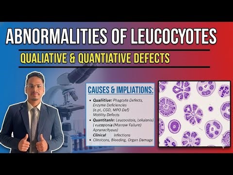 1. 🩸 Abnormalities of Leukocytes | Quantitative & Qualitative Disorders | BSc MLT Haematology 🇳🇵
