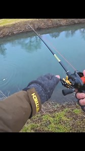 UN BROCHET AFFAMÉ ATTAQUE DANS CE CANAL A L’EAU TURQUOISE !!! Petit extrais de la dernière vidéo YouTube, où je vous propose une session brochet pour marquer l’ouverture de la pêche… Combo : ZANDERA cast 7-32gr @delphinpeche Leurre : cuillère ondulante ELIPZ Lien de la vidéo : https://youtu.be/USGX00QVr78?si=y68WRwARgmtrq0zf #pechedubrochet #peche #brochet #ouverture #attaque #canal | Aminiakk Fishing