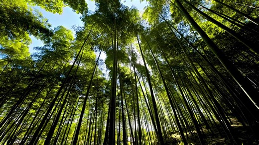 [OUTSTANDING Dolby Vision 4K HDR 60FPS] – Ultra HD 4K Video Demo (No Compression!)