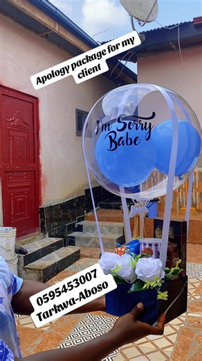 Apology Package for My Client: Tarkwa-Aboso Services