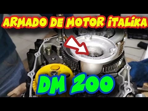 DM200 complete motor assembly (step by step)