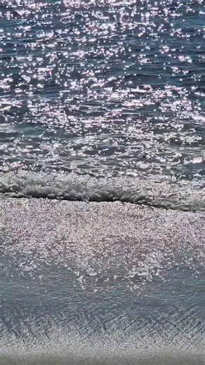 18K views · 737 reactions | Walking on the beach in October at Cape May Point | New Jersey Places to Visit | Facebook