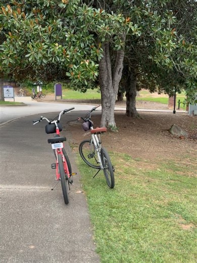 Jen Carfagno | Soccer season is back! Good ⚽️weekend in Greenville SC. And since it was mostly on the way… we stopped in Athens for a quick hug from our... | Instagram