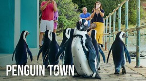 Penguin Town - Netflix Docuseries - Where To Watch