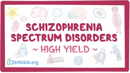 Schizophrenia spectrum disorders: Pathology review: Video, Causes, & Meaning | Osmosis