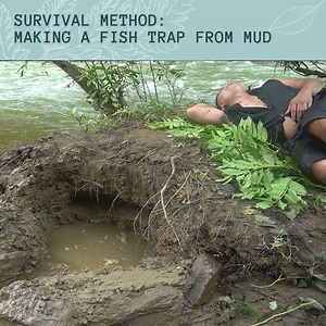 72K views · 1.7K reactions | Here's How To Catch Fish By DIGGING! | Primitive Cooking KT Food | Facebook