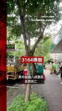 台北修剪千棵樹木為何引發爭議？－ BBC News 中文 #台灣