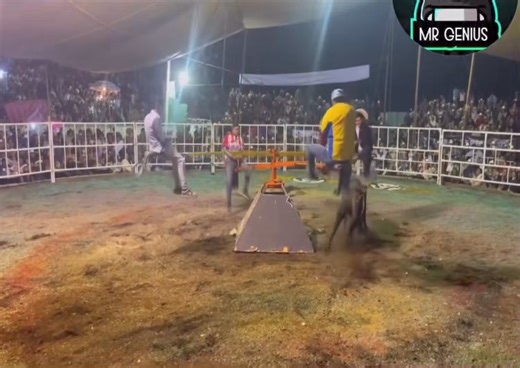 93K views · 559 reactions | Scene: 2025 Place: Ti Gamin. Reason: No Horse Racing Organizer License for PTPI and Champ De Mars restituted to the MTCSL 藍. | Mauritius Turf Passionates | Facebook