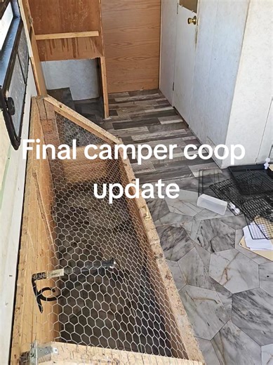Final camper coop update! forgot to post this earlier this year. I was almost done with the conversion to a chicken coop when I decided not to put any more money in to it. Even after patching the roof and tinning it, it began to leak and split the ceiling. I did notice there was mold. So back to the drawing board. This free camper will not go to waste. my friend took parts off it for her camper and another friend will be turning it into a car trailer. #chickens #farmlife