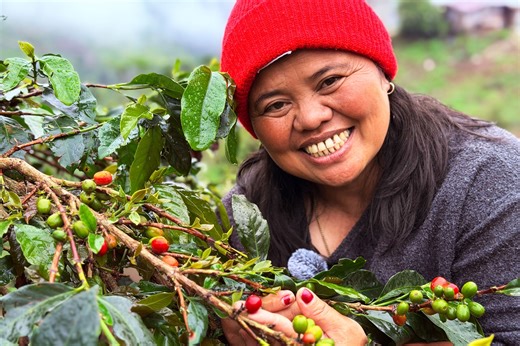 フィリピン最高峰が育む高級コーヒー　始まりは一人の女性だった｜with Planet｜朝日新聞