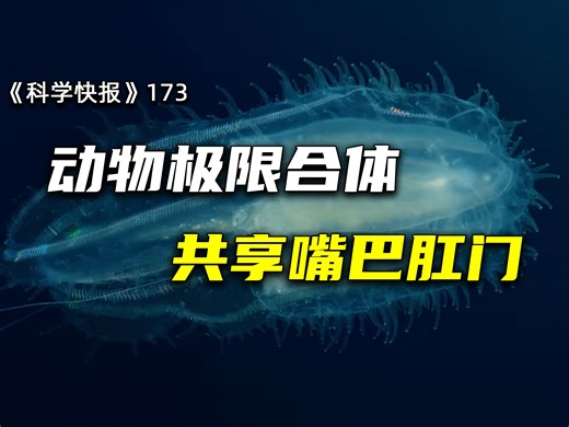 真合体！两只动物合二为一，共享嘴巴和肛门，【科学快报173】