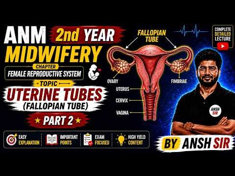 🔥 ANM 2nd Year Midwifery | Uterine Tubes (Fallopian Tube) Complete Theory Part-2 | Exam Special
