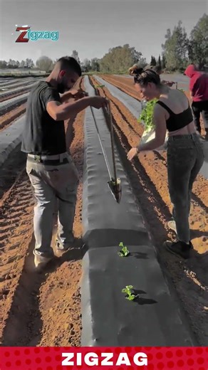 So Satisfying! Watch This Tool Create Perfect Planting Holes Every Time
