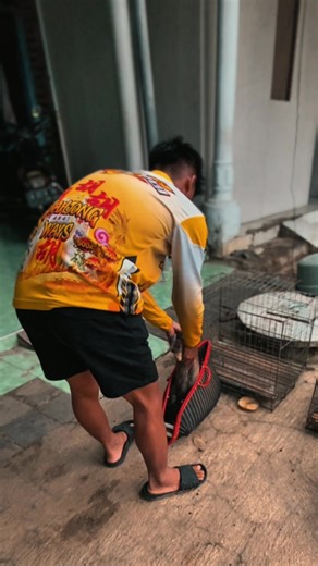 Exciting Rabbit Race Event in 2025!