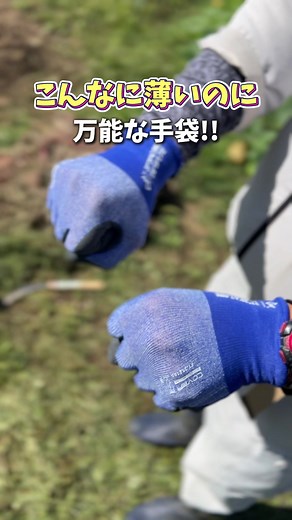 CWの薄手な万能手袋✨🧤 みんなはもう知ってる？🐵 #カヴァーワーク #作業用手袋 #手袋 #農家 #現場仕事