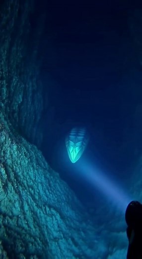 2.1M views · 792 reactions | Mystery in the Deep: Diver Captures...
