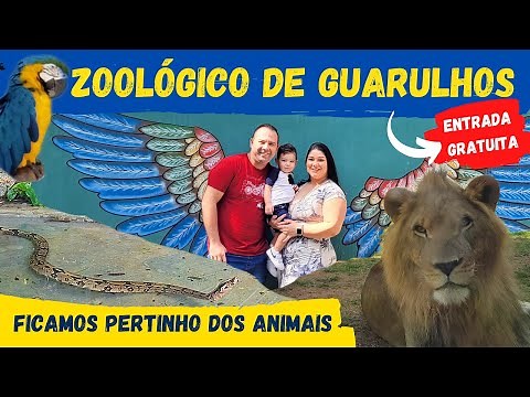 ZOOLÓGICO DE GUARULHOS | PASSEIO GRATUITO | CONHECENDO DIVERSOS ANIMAIS