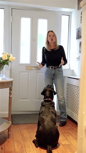 Reduce your dog’s jumping up