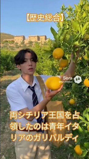 【歴史総合】両シチリア王国を占領したのは？ #日本史 #歴史能力検定 #歴史総合 #シチリア島