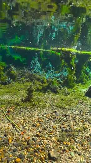 Japan hides these crystal‑clear water springs you won’t find online … stumbling upon one feels like | AquaPedia