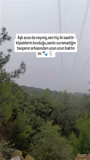 ABONE OL VE BEĞEN 💯🐇🐾👉