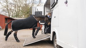 Owning versus hiring horse transport: what are the pros and cons?