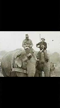 Rare 1937 Circus Setup on 8mm Film Barnes, Sells - Floto Big Top Comes to Life