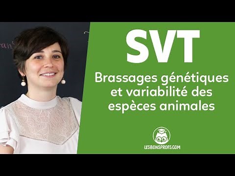 Brassages génétiques et variabilité des espèces animales - SVT - Terminale - Les Bons Profs