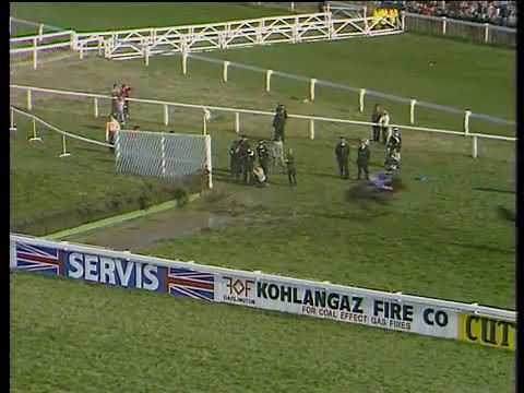 1981 Grand National won by Bob Champion and Aldanti