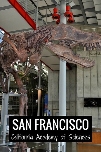 My Experience at the California Academy of Sciences in San Francisco