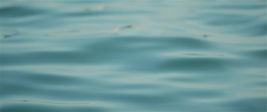 The Millennium Technology Prize will be granted to technological innovations that broadly improve the life of humankind and promote sustainable development. The criteria also consider the innovation’s potential to preserve natural resources and promote biodiversity, as well as equality between people. Read more about the criteria for the Millennium Technology Prize: http://bit.ly/3zyugJv | Millennium Technology Prize