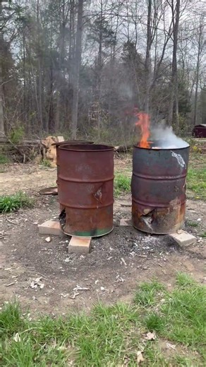 Burning trash with my ole dog#outdoors #chores