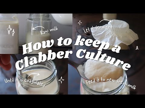 Turn Raw Milk into a cheesemaking starter culture/ I don't use freeze dried cultures anymore!