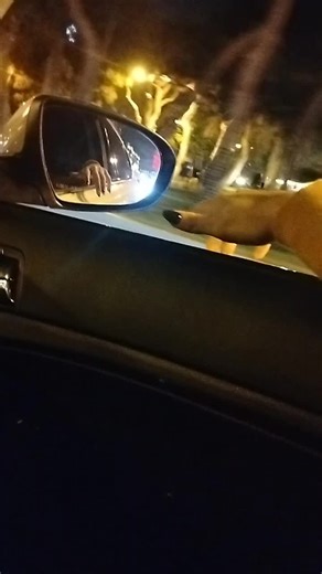 💔🥀 (@qemlimkh)’s videos with Adam Ele Darixir - Tural Huseynov