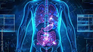 Futuristic medical interface showing human body analysis with organs, bones, lungs, stomach, and intestines for healthcare visualization