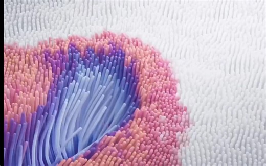 看大厂如何做产品质感的。微软笔记本电脑tvc广告